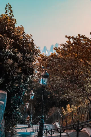 树，工厂，巴黎，蒙马特，法国，城市，车轮，机器