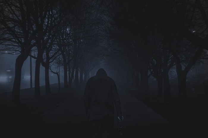 街道，道路，树木，植物，自然，人，黑色，连帽衫