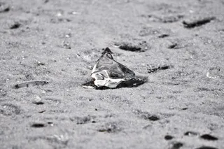 冰，大块，大块冰，冻结，冻结池塘，冻结水，zing，冬季