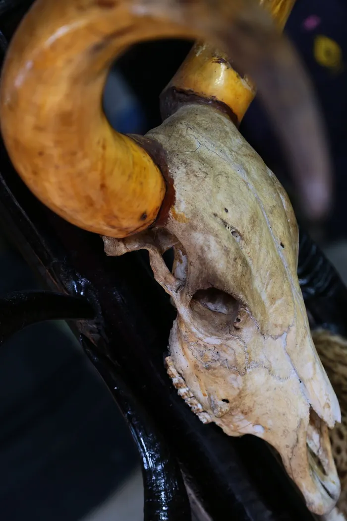 头骨、水牛、狩猎、死亡、动物、食物、特写、金属