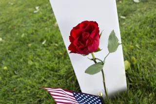 花，粉色，红色，瀑布，美国公墓，诺曼底，纪念，致敬