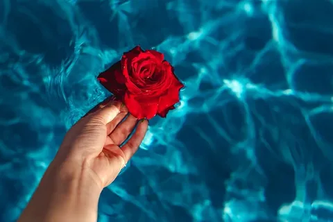 在一个温暖的夏日,一座游泳池的碧水上升起了一座清新的花园 在一个温暖的夏日,一座游泳池的碧水上升起了一座清新的花园