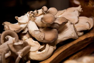 新鲜, 蘑菇, 晚餐, 厨师, 喇叭, 切片, 真菌, 餐饮