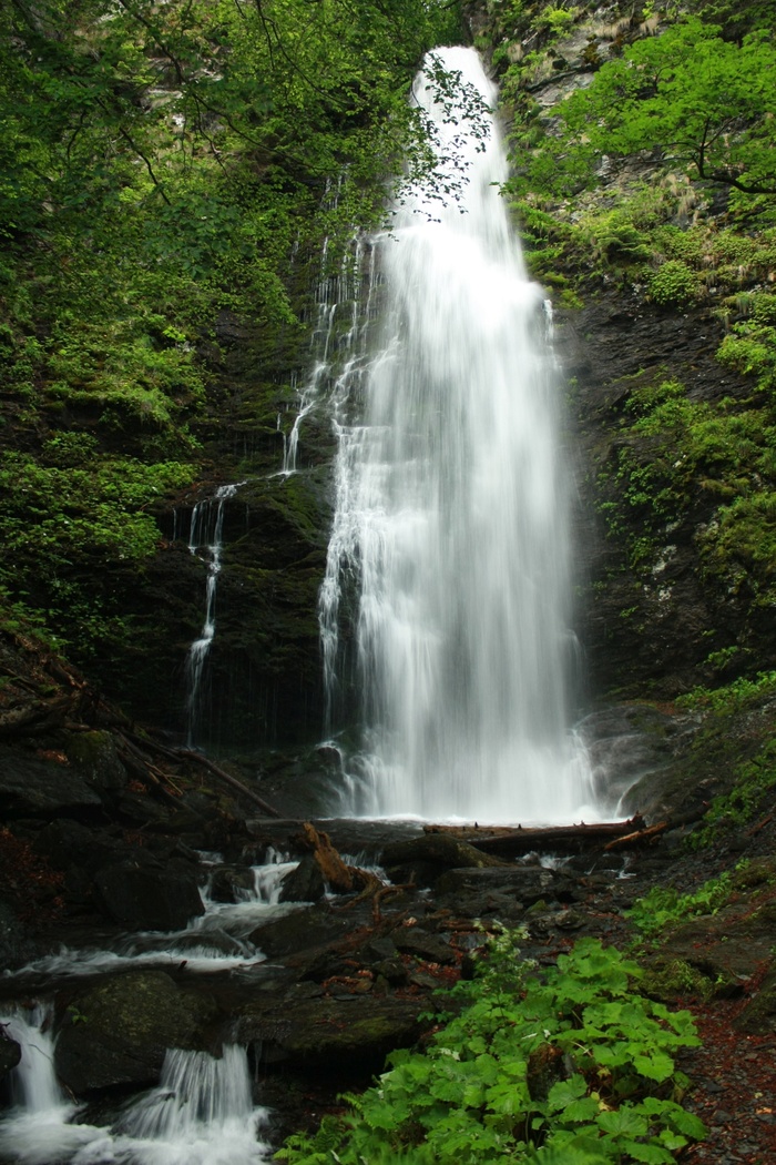 瀑布、stara planina、mountain、karlovsko praskalo、levski小屋、river、cascade、green