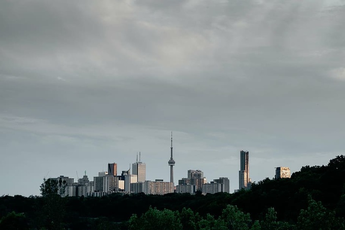 风景，城市建筑，城市，城市，建筑，自然，树木，天空