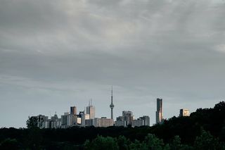 风景，城市建筑，城市，城市，建筑，自然，树木，天空