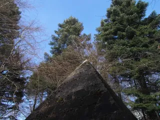 普赖米德，森林，风景，自然，风景，户外，阳光，太阳