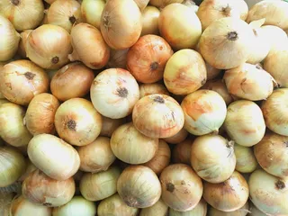 食品，蔬菜，洋葱，葱，植物，质地，蒸馏，农产品