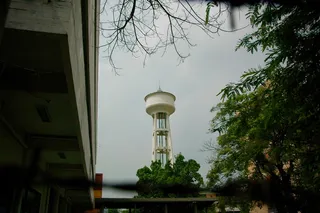 树，建筑，植物，建筑结构，塔，建筑外观，天空，自然