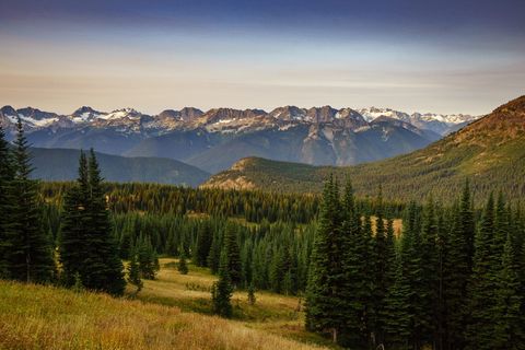 树木，高山，华盛顿，瀑布，冒险，森林，远足，徒步旅行