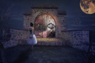 建筑梦幻女人，人类，成年人，运动，旅行，日落，黎明，自然