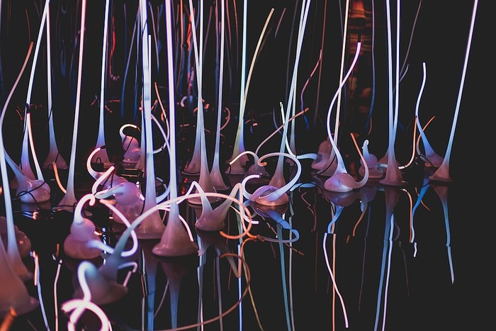 霓虹灯装饰地段，雕塑，玻璃吹制，chihuly，玻璃，颜色，霓虹灯，旅游