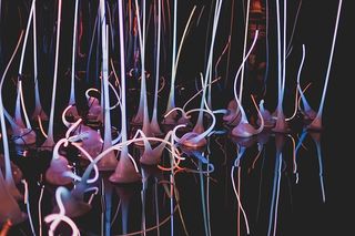 霓虹灯装饰地段，雕塑，玻璃吹制，chihuly，玻璃，颜色，霓虹灯，旅游