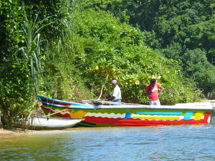 boot，斯里兰卡，海滩，fischer，植物，树木，水，船只