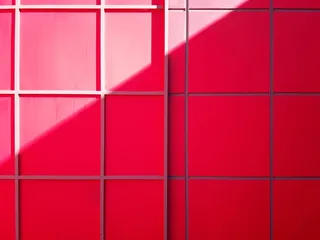 阿根廷、巴拉那、全框架、背景、红色、图案、瓷砖、地板