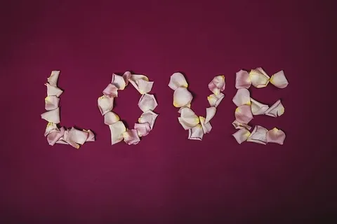 爱情写在玫瑰踏板照片上