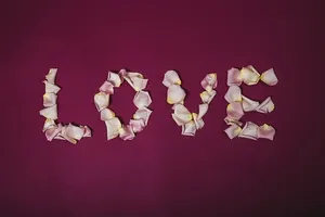 爱情写在玫瑰踏板照片上