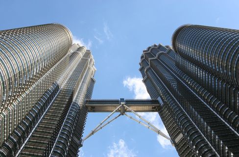 双子塔的虫眼图像