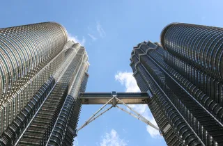 双子塔的虫眼图像