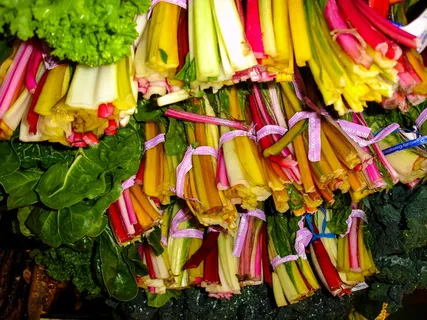 加利福尼亚州，美国，美国，蔬菜，颜色，夏天，美国，多色