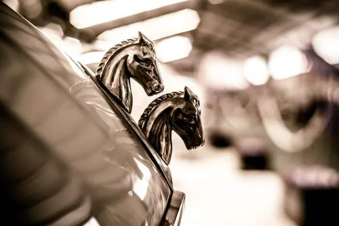 雪铁龙，雪龙，汽车，徽章，汽车，雪铁龙2cv，雪铁隆2cv，装饰