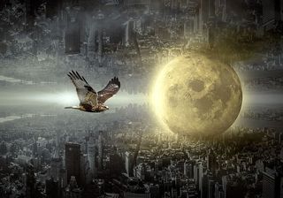 幻想，城市，月亮，鹰，心情，建筑，超现实，光