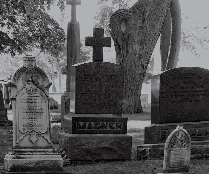 墓石，砖石艺术形式，卡梅尔山，景观，黑白，坟墓，墓地，文本