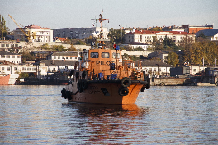 端口, 拖轮, 船舶, 海, 航海, 海岸, 运输, 拖船