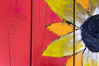 黄向日葵画，动物，鸟，艺术，现代艺术，绘画，壁画，颜料容器