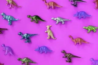 各式各样的恐龙玩具