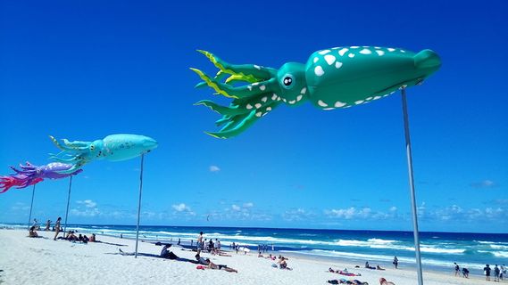 放松，海滩，国旗，鱿鱼，阳光，大海，水，假日