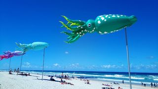 放松，海滩，国旗，鱿鱼，阳光，大海，水，假日