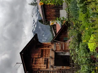 带花园的棕色房屋景观摄影