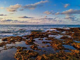 摩洛哥、mohammédia、boulevard hassan ii、summer、blue、nokia、contrast、mohammedia