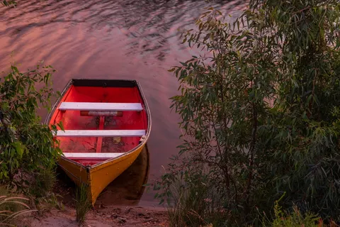 水体上的棕色船