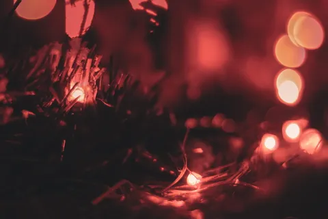 散景摄影上的草剪影 散景摄影上的草剪影