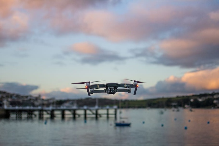 飞机，飞机，车辆，运输，机场，水，机场，动物