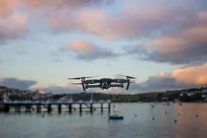 飞机，飞机，车辆，运输，机场，水，机场，动物