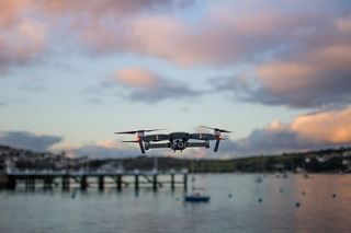 飞机，飞机，车辆，运输，机场，水，机场，动物