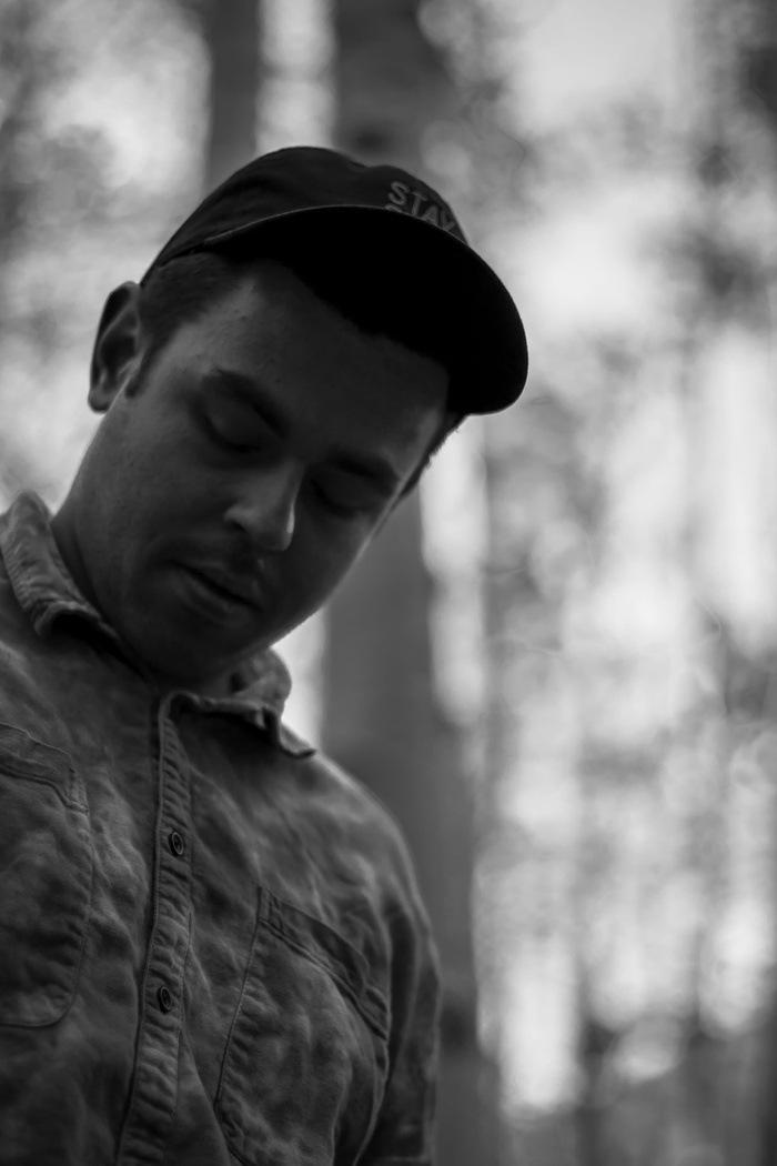 flagstaff，美国，亚利桑那州lockett meadow露营地，cmyk，视觉艺术，阿斯彭，森林