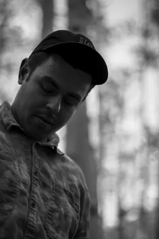 flagstaff，美国，亚利桑那州lockett meadow露营地，cmyk，视觉艺术，阿斯彭，森林