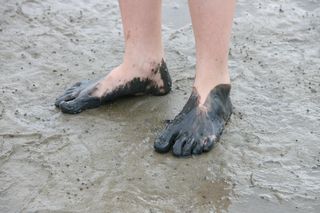 瓦特脚, 瓦特, 瓦登海, 北海, 人脚, 海滩, 人腿, 鞋