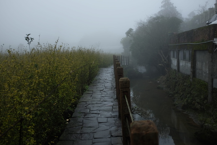 自然、天气、室外、道路、走道、石板、雾、雾