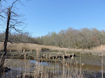 海湾，自然，蓝色，目的地，公园，海岸线，海岸，太阳