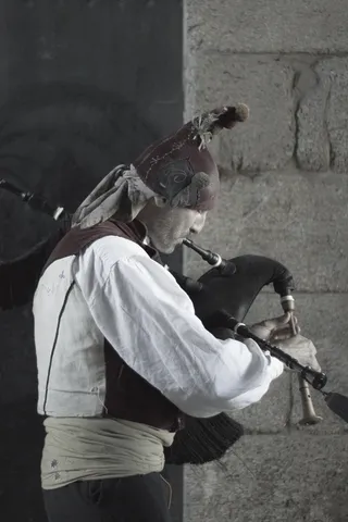 派珀、康波斯特拉的圣地亚哥、奥布拉多伊罗、家畜、家畜、宠物、家畜、脊椎动物