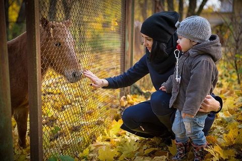 孩子，人，婴儿，秋天，马，小马，自然，爱