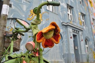 杜塞尔多夫，街头艺术，艺术，涂鸦，自行车，涂鸦