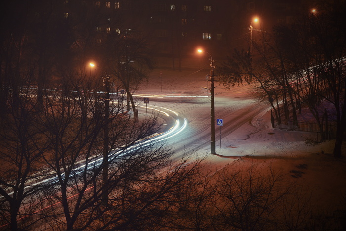 黄昏，轻松，树木，自然，道路，夜晚，冬天，全景