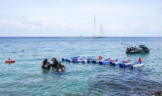 潜水，人，人，海，蓝色，度假，休闲，乐趣