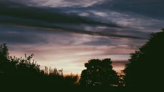 剪影照片，树木，多云，天空，金色，小时，剪影，绿色